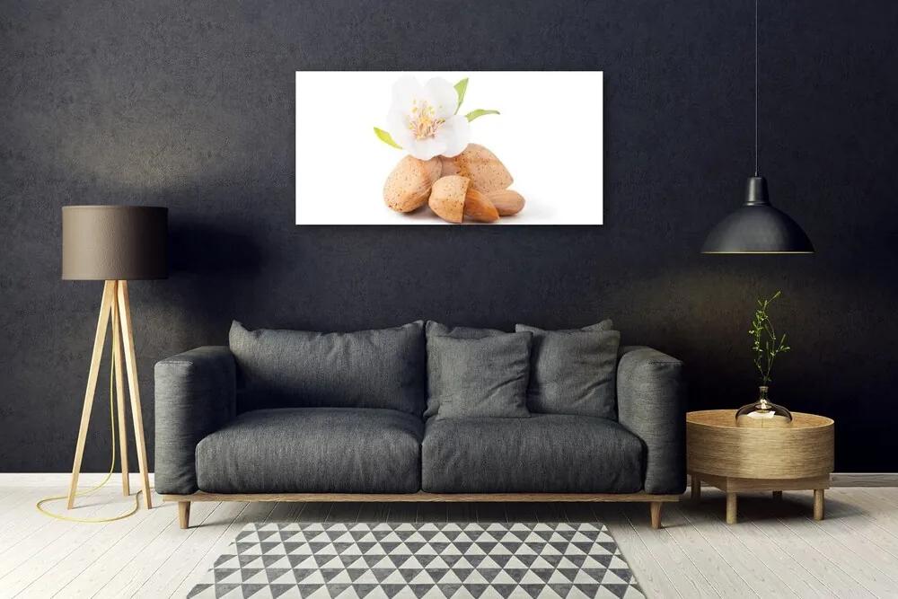 Skleneny obraz Kvet pistácie príroda 100x50 cm