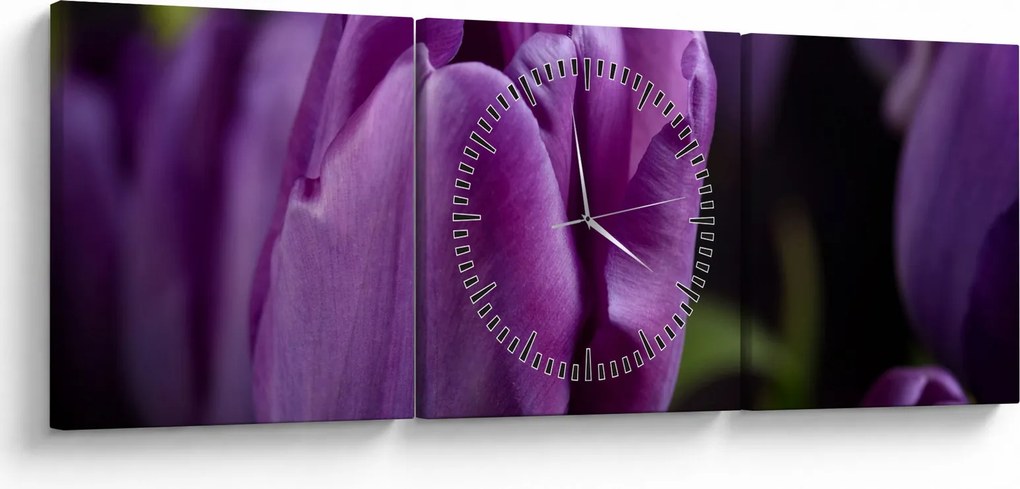 Obraz kvetov tulipánov (s hodinami) (90x30 cm)
