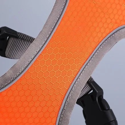 Postroj pre psov ASTRO S oranžový