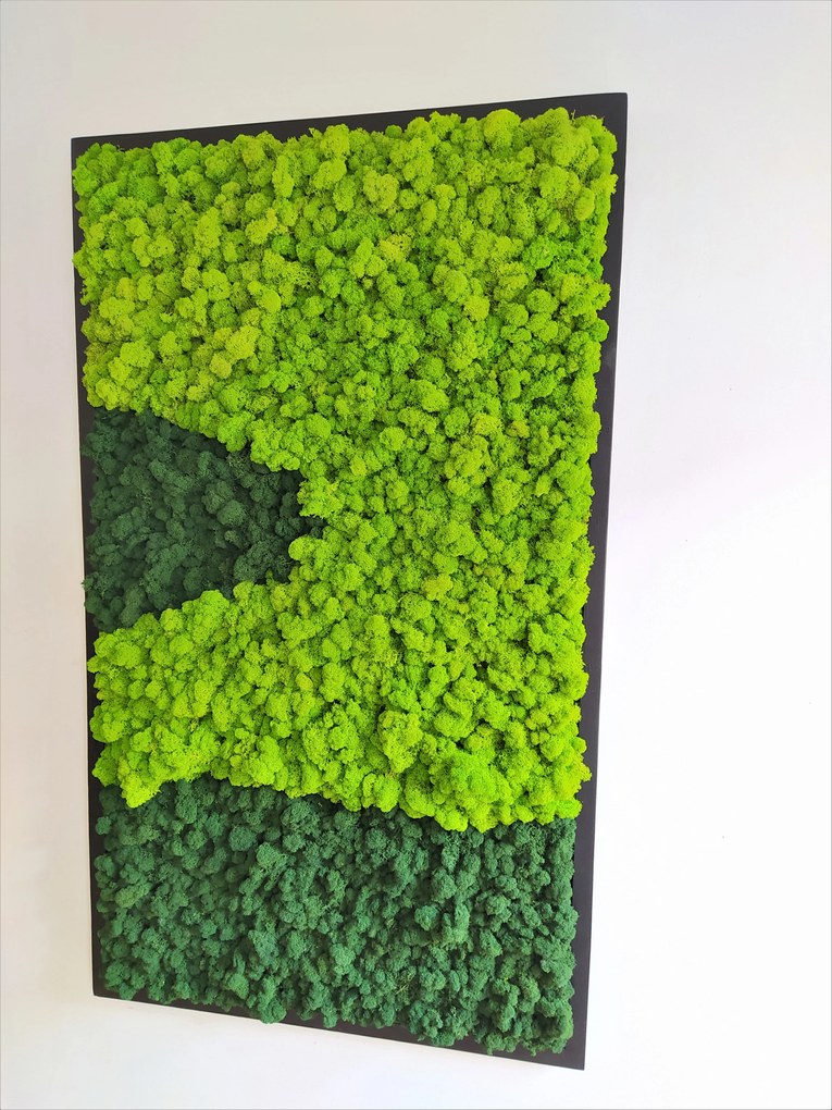 Machový obraz v čiernom ráme 135cm x 65cm