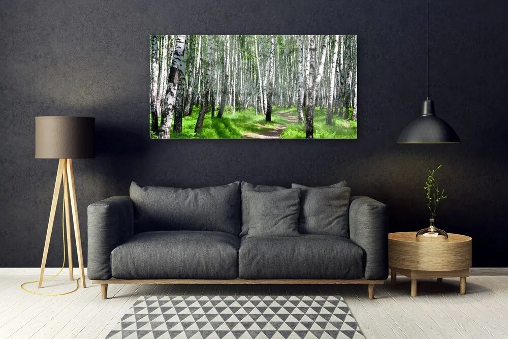 Obraz na akrylátovom skle Stromy tráva príroda 120x60 cm