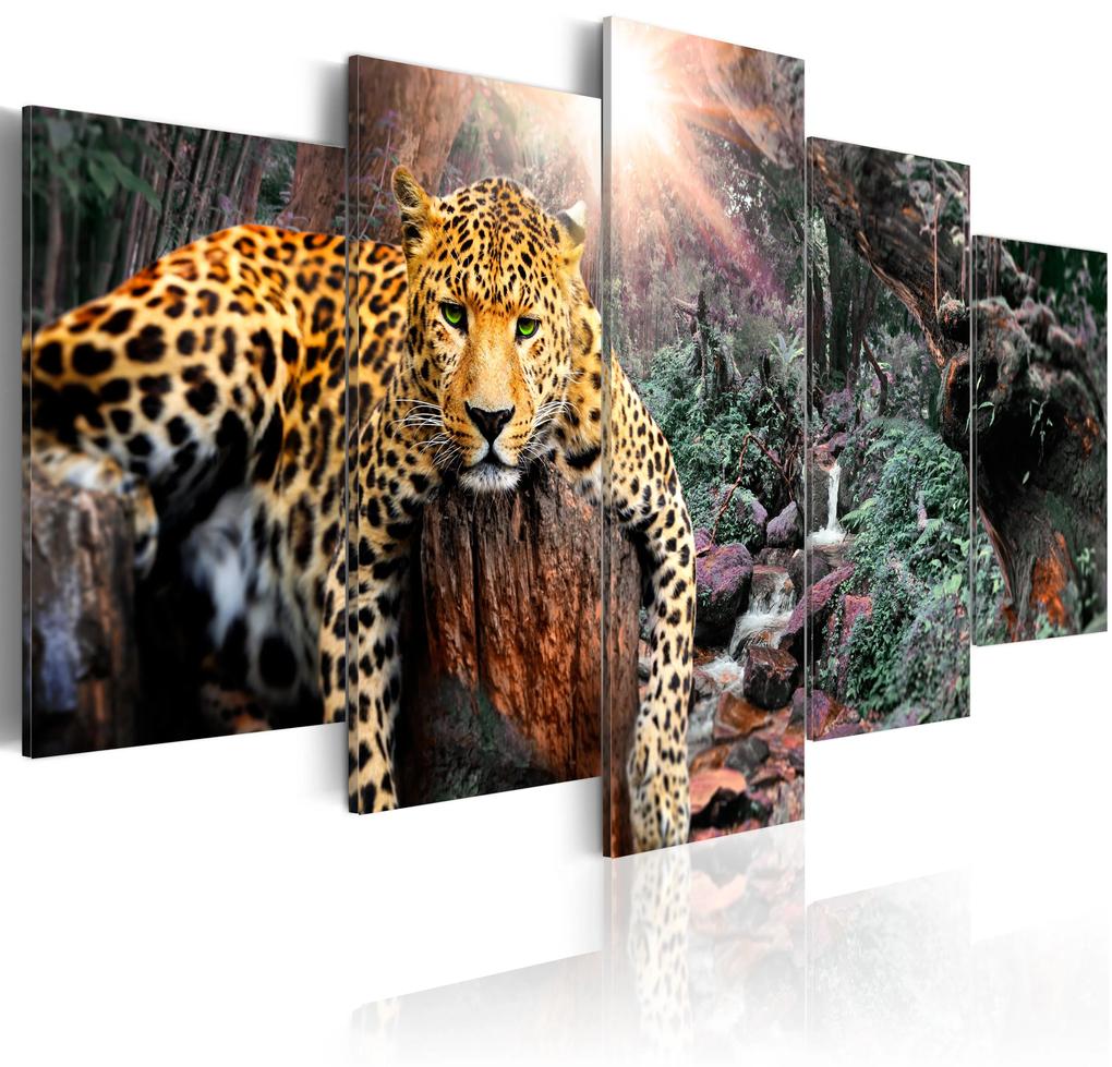 Artgeist Obraz - Leopard Relaxation Veľkosť: 100x50, Verzia: Standard