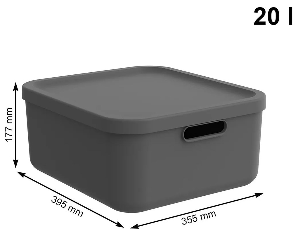 Rotho Úložný box, rovný s víkem, 20l, antracit ALBU LIGHT, 40x36x18