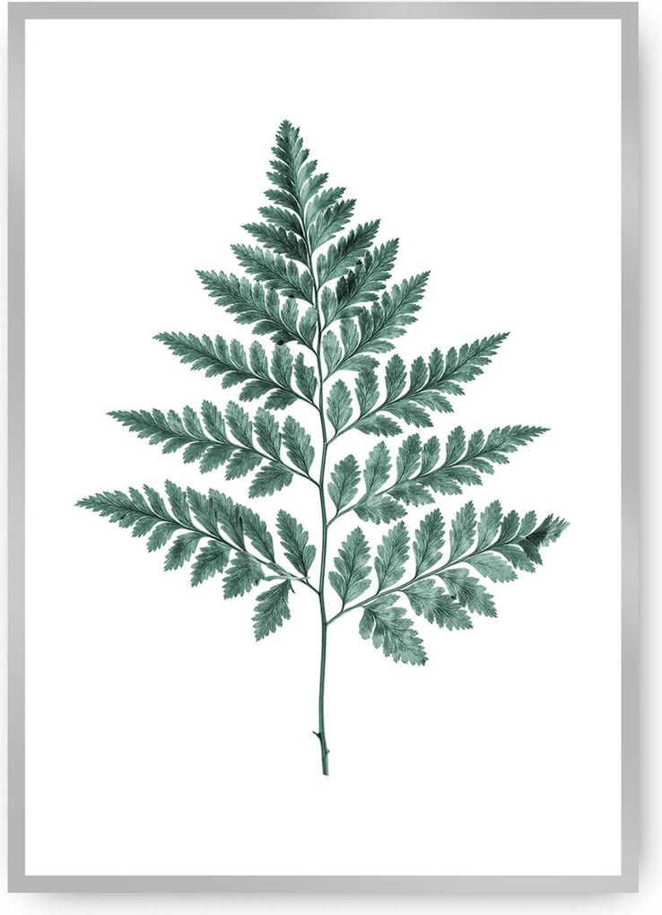 Plagát Fern 21 x 30 cm Emerald Green
