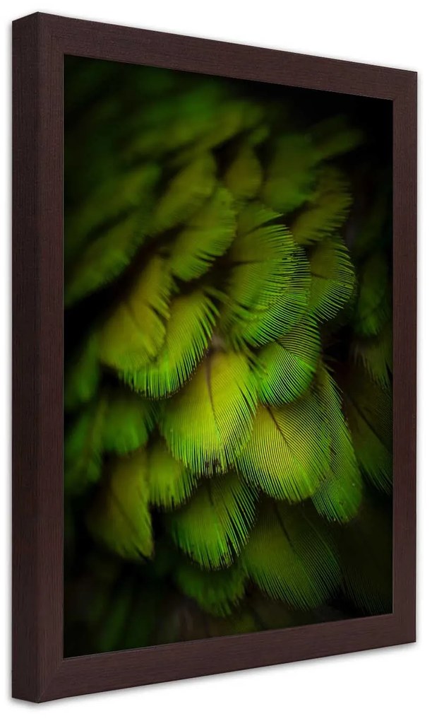 Gario Plagát Abstrakt zo zeleného peria Farba rámu: Čierna, Rozmery: 70 x 100 cm