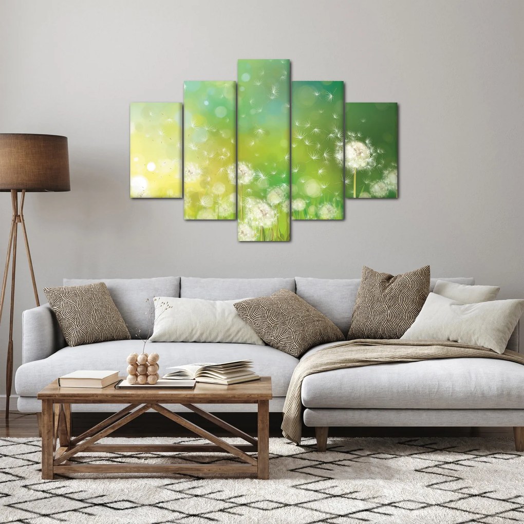 Obraz - Odkvitnuté púpavy (150x105 cm)