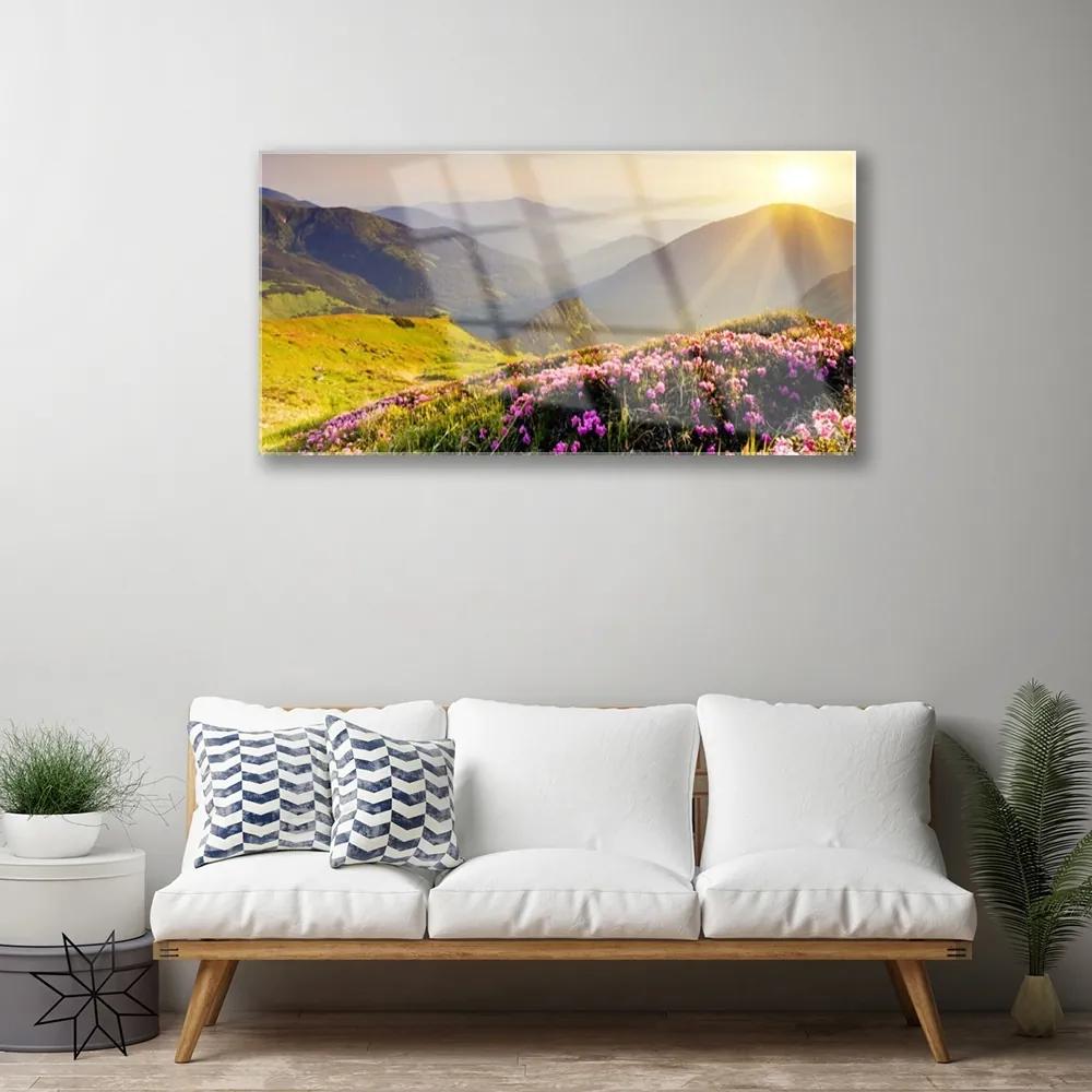 Skleneny obraz Hora lúka krajina 125x50 cm