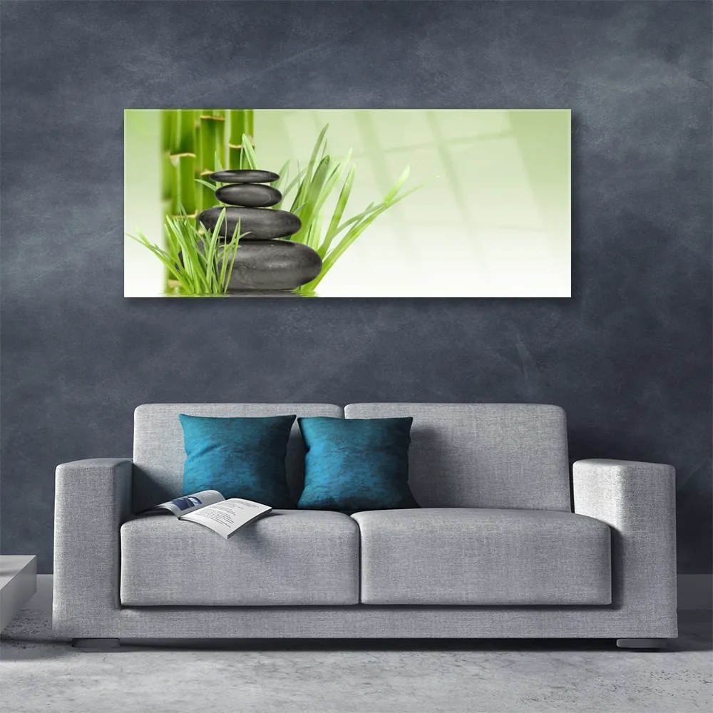 Obraz plexi Bambus tráva rastlina príroda 125x50 cm