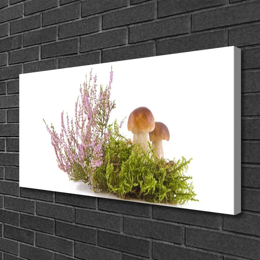 Obraz Canvas Huby rastlina príroda 125x50 cm