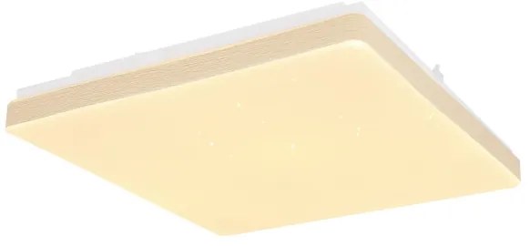 Globo 48296W - LED Stropné svietidlo RAINA LED/12W/230V