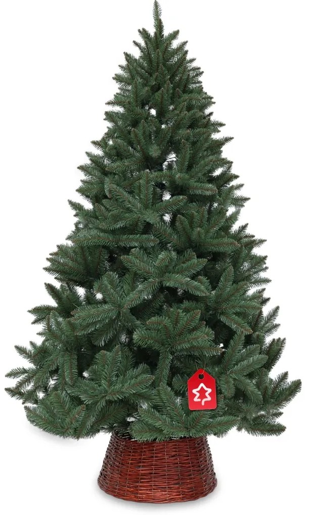 Smrek Kanadský 210 cm