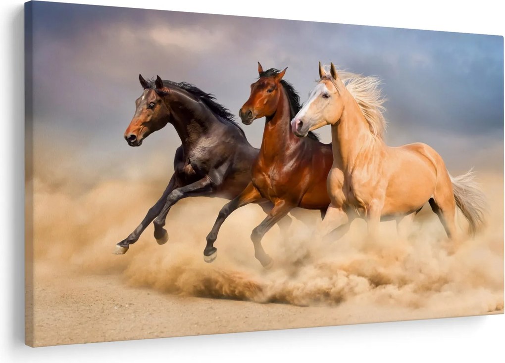 Obraz - Divé kone (90x60 cm)