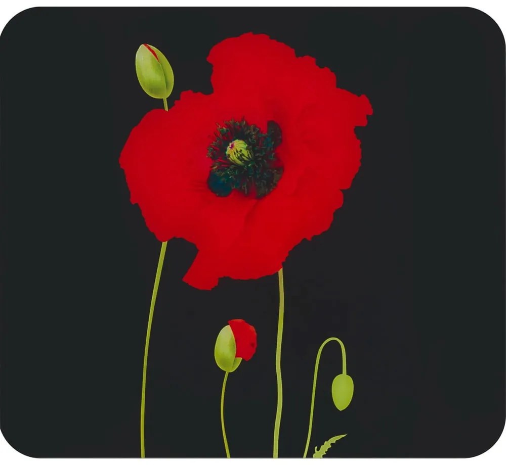Kryt na stenu pri sporáku z tvrdeného skla 50x56 cm Poppy - Maximex