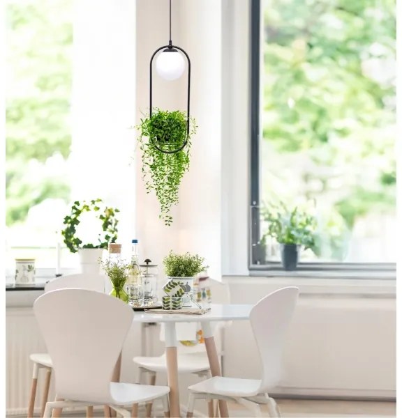 Zuma Line 5003 - Luster na lanku PLANT 1xE14/40W/230V čierna