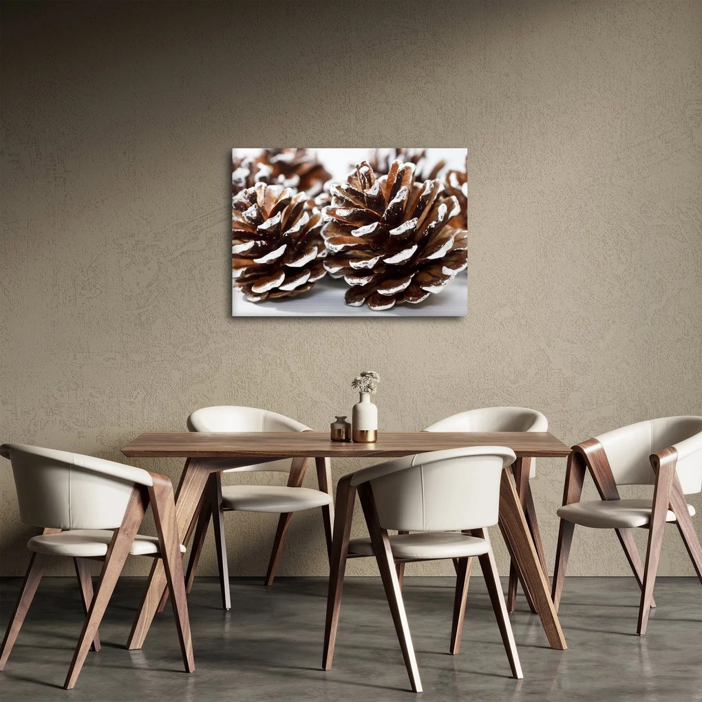 Obraz - Šišky (70x50 cm)
