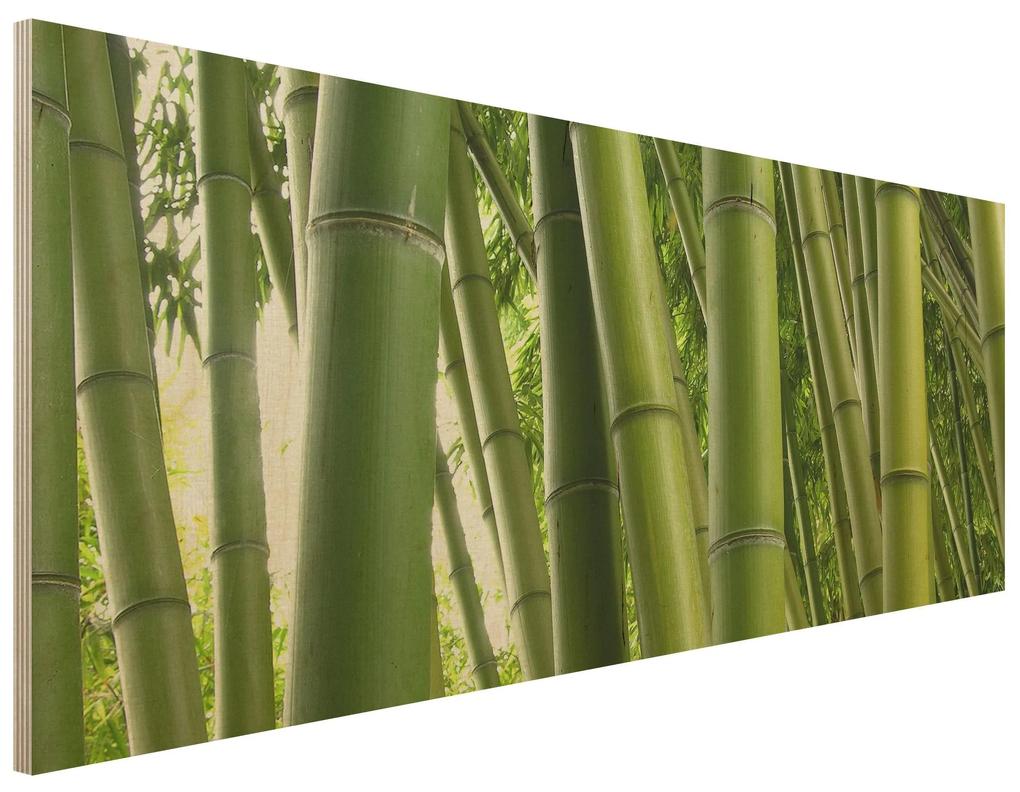 Drevenné obrazy Bambusová trstina