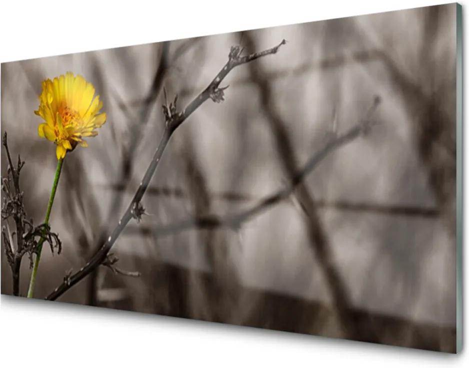 Obraz na akrylátovom skle Sklenený Vetva Kvet