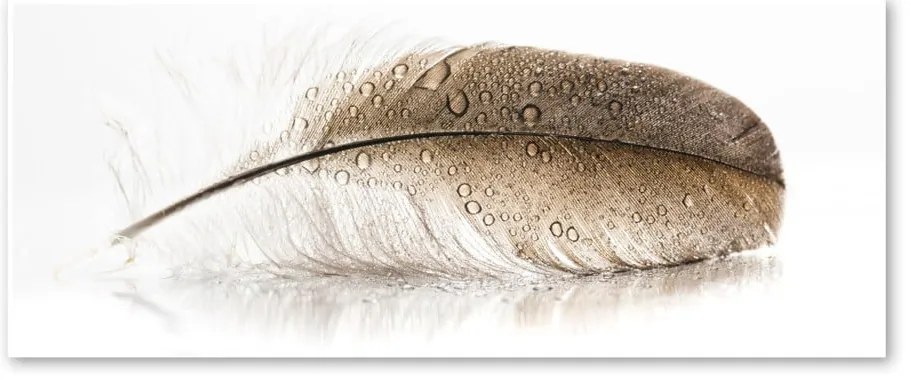 Obraz Styler Glasspik Wings, 50 × 125 cm