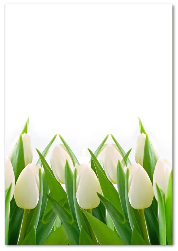 Foto obraz akryl do obývačky Biele tulipány pl-oa-70x100-f-30153186