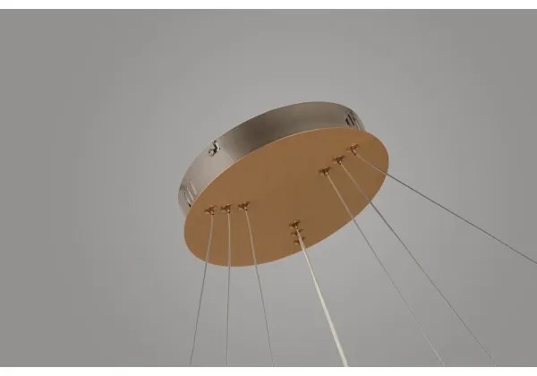 Azzardo AZ4429 - LED Luster na lanku BRIGHTON LED/55W/230V zlatá