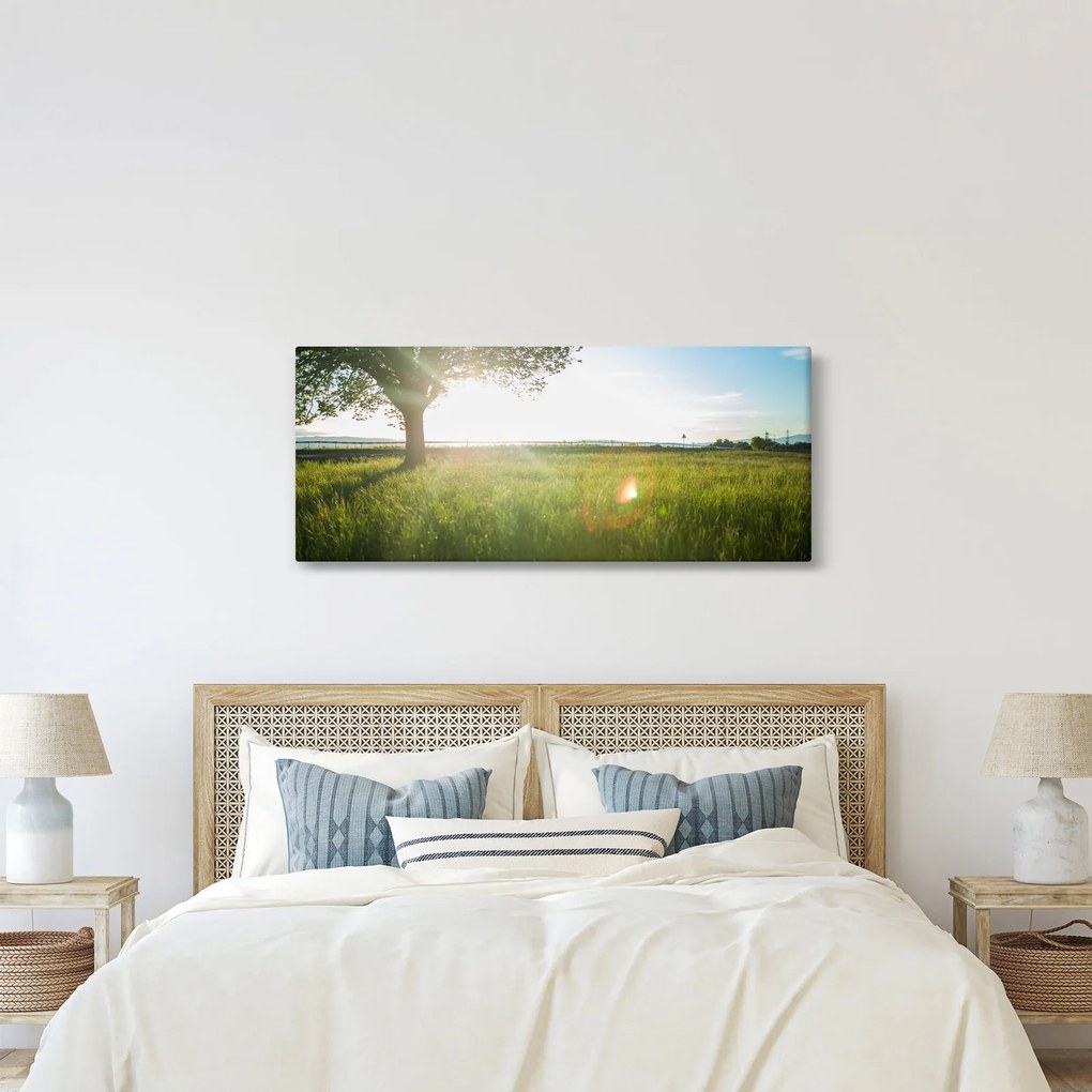 Obraz stromu v poli (120x50 cm)