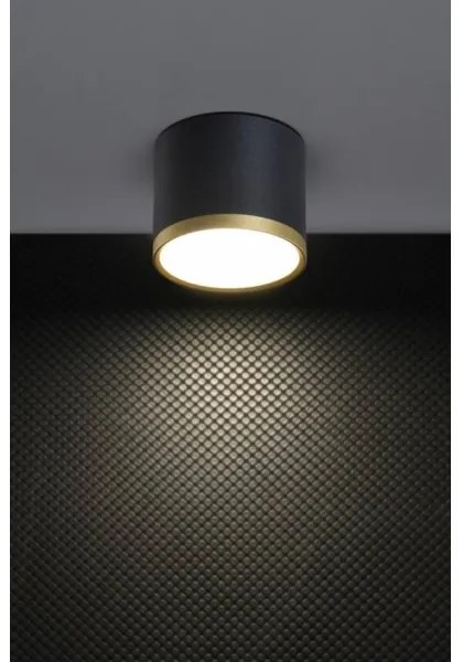 LED Bodové svietidlo TUBA LED/9W/230V čierna/zlatá