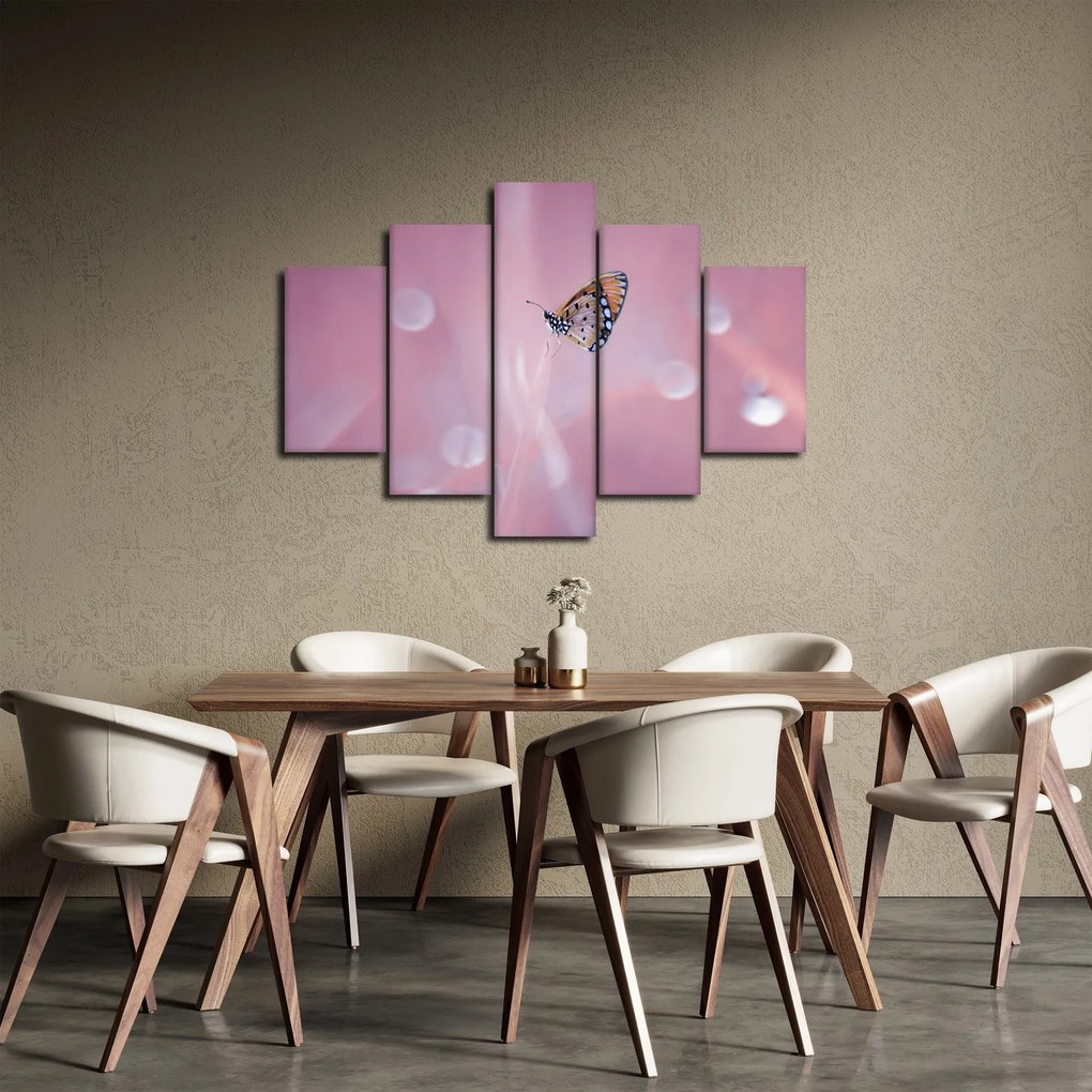 Obraz - Motýlik (150x105 cm)