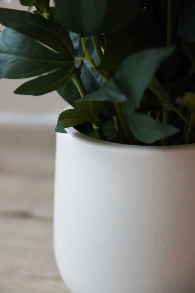 Umelá pivonka v krémovom kvetináči PEONY, výška 70 cm, ružová