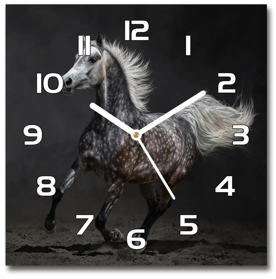 Sklenené hodiny štvorec Sivý arabský kôň pl_zsk_30x30_f_49747605