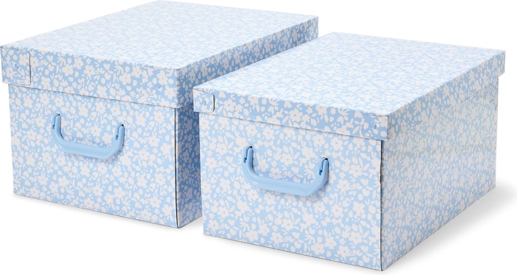 Úložné škatule s vekom, 2 ks