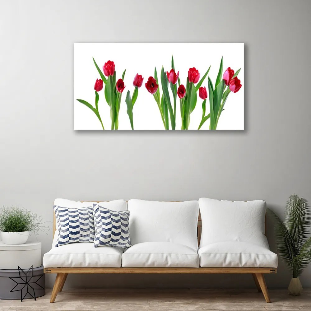 Obraz Canvas Tulipány kvety rastlina 100x50 cm