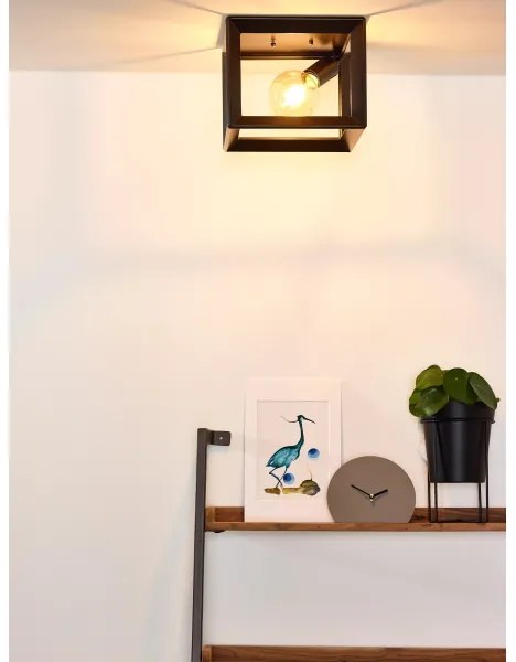 Lucide 73102/01/15 - Stropné svietidlo THOR 1xE27/60W/230V