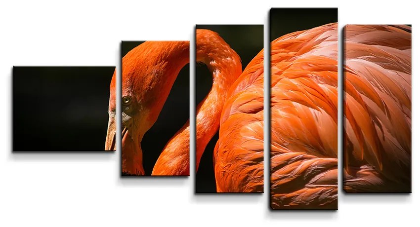 Sablio Obraz - 5-dílný Plameniak - 100x60 cm