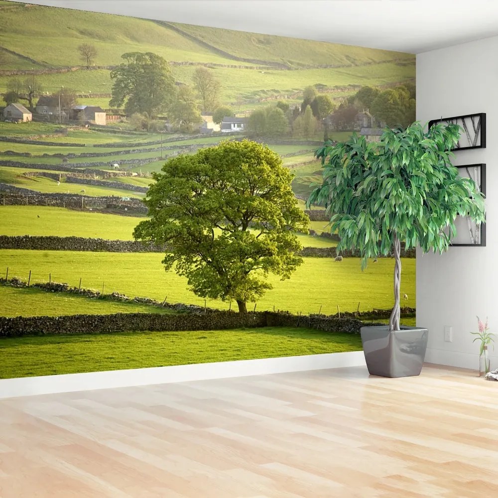 Fototapeta Vliesová Anglie derbyshire 416x254 cm