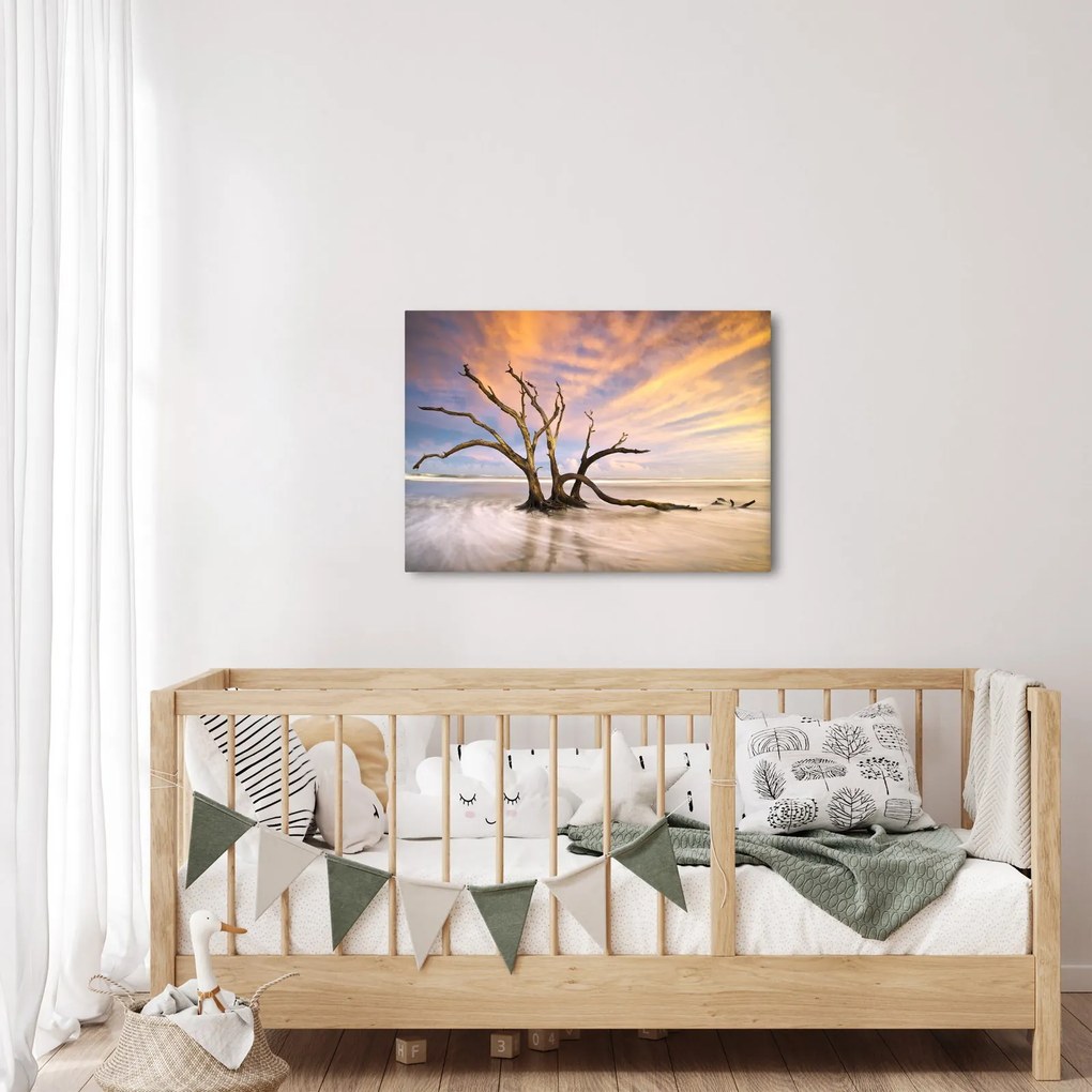 Obraz stromu v oceáne (70x50 cm)