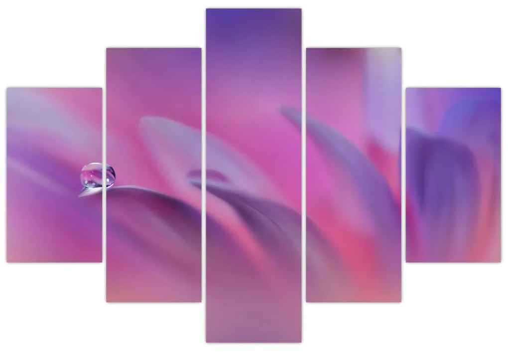 Obraz - Kvapka na kvete (150x105 cm)