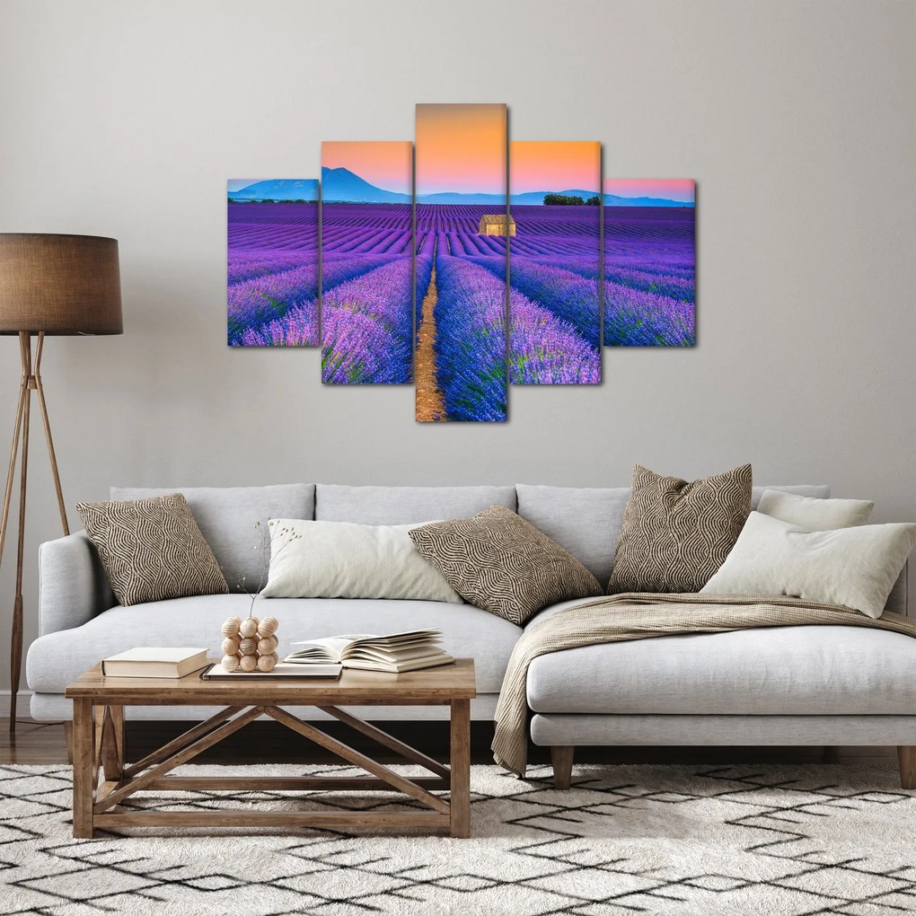 Obraz - Levanduľové pole (150x105 cm)