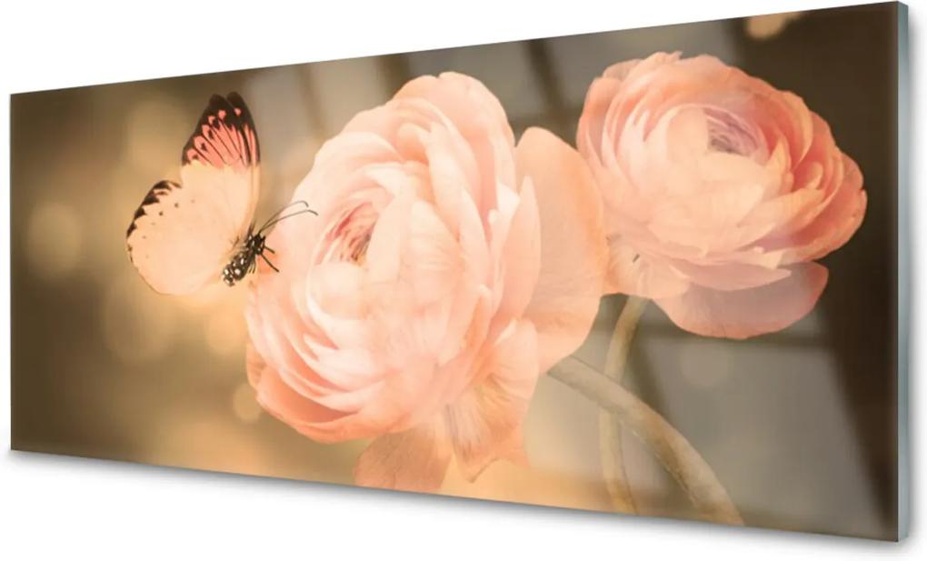 Skleněný obraz Motýl růže příroda