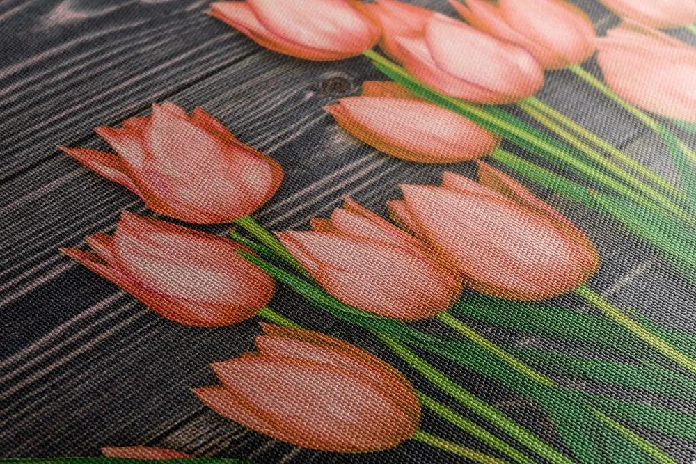 Obraz očarujúce oranžové tulipány na drevenom podklade Varianta: 120x80