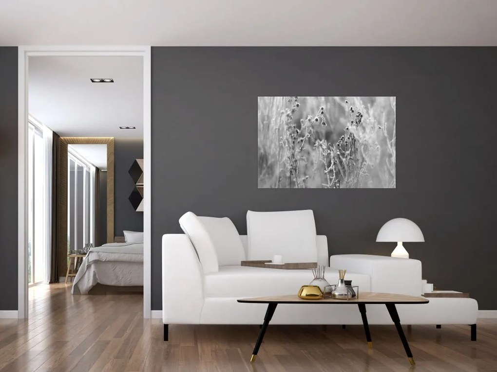 Obraz - Divoká lúka (90x60 cm)