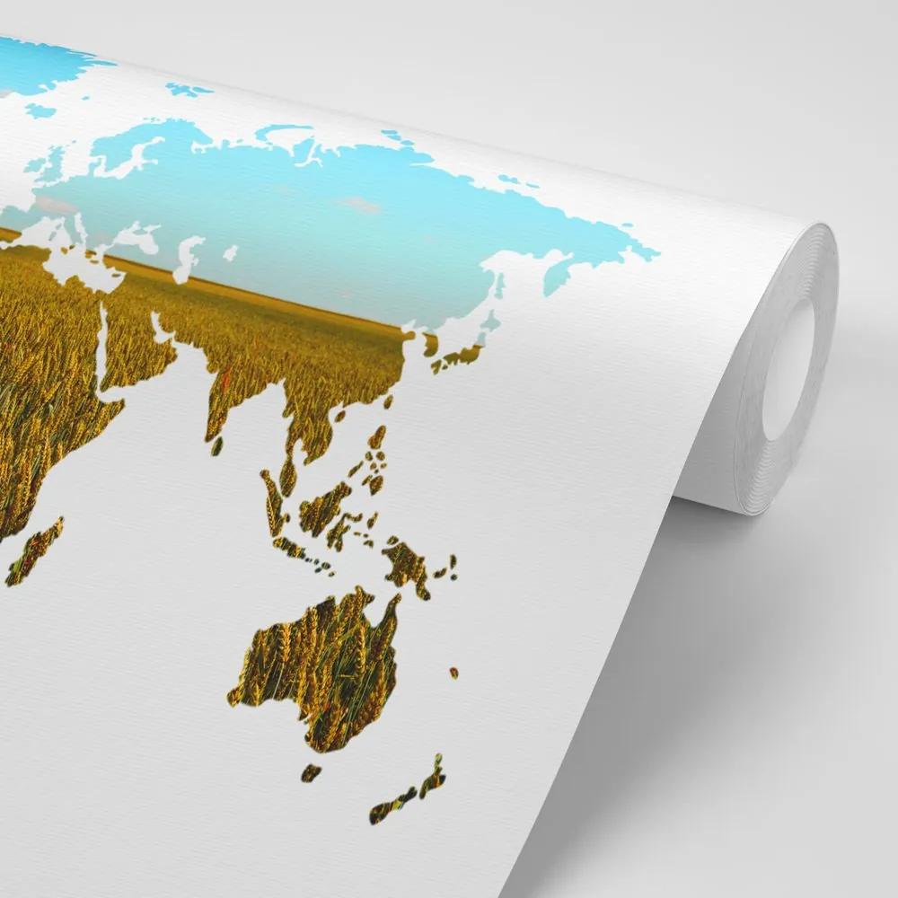 Samolepiaca tapeta mapa sveta na bielom pozadí