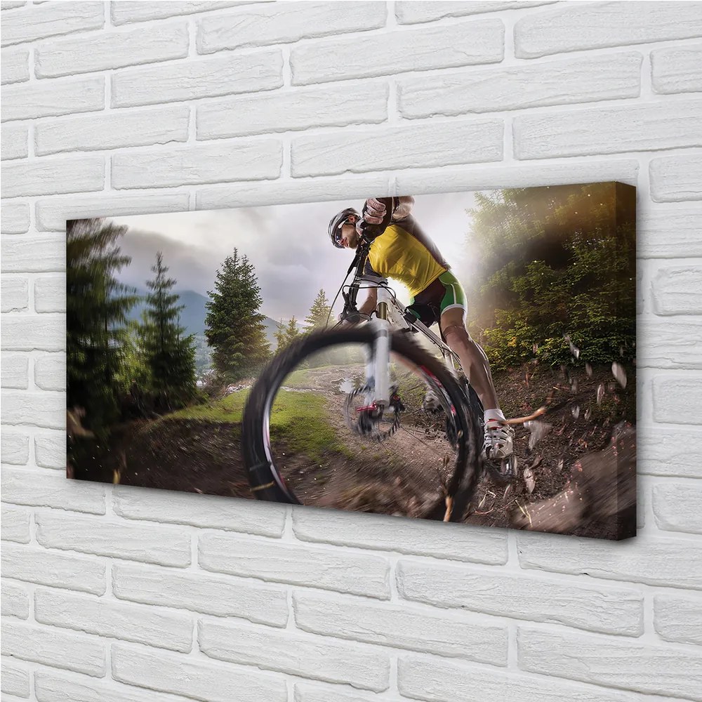Obraz canvas Cloud na horskom bicykli 125x50 cm