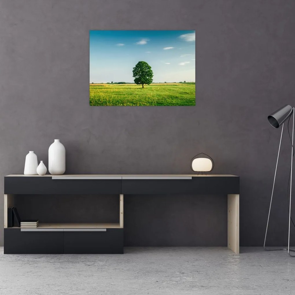 Sklenený obraz stromu na lúke (70x50 cm)