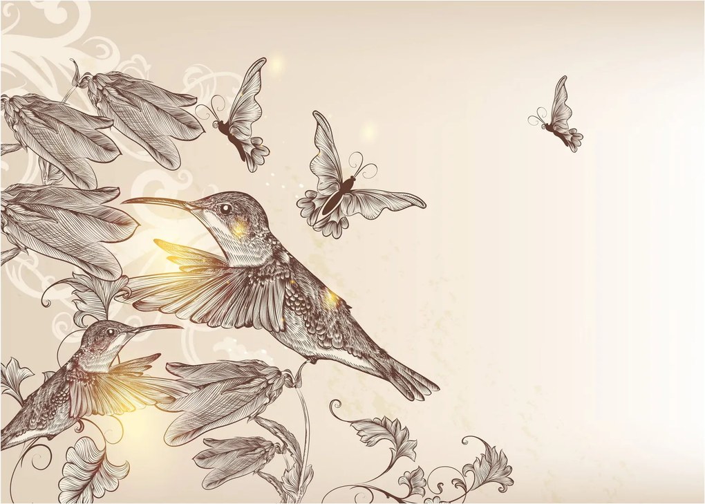 Sklenený obraz - Kolibríky (70x50 cm)