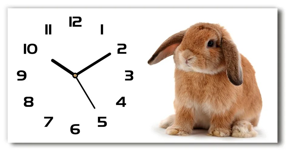 Moderné sklenené hodiny na stenu Červený králik pl_zsp_60x30_f_65984756