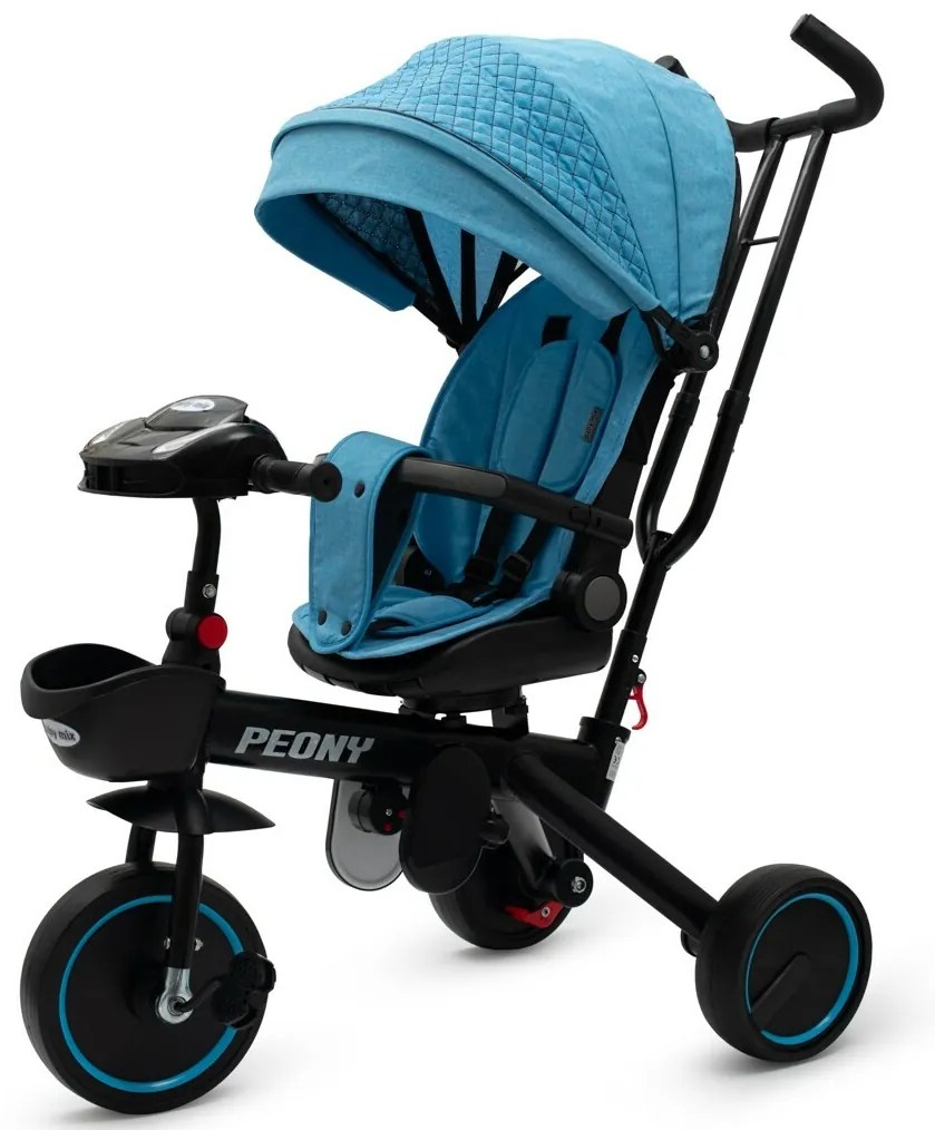 Detská trojkolka Baby Mix Peony EVA modrá