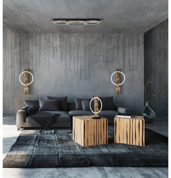 Eglo 99413 - LED Stropné svietidlo BOYAL 2xLED/12W/230V + LED/12W