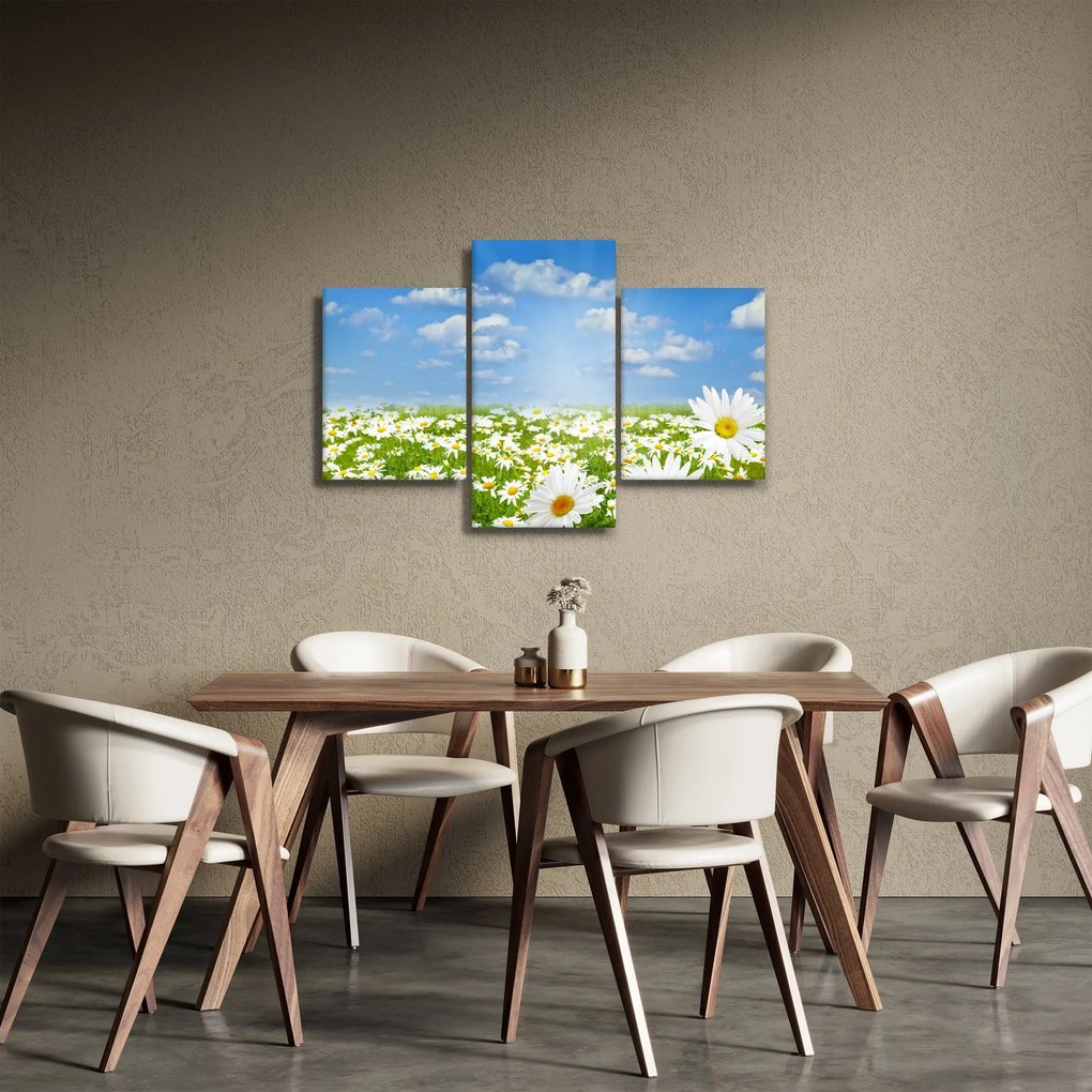 Obraz rozkvitnutej lúky s margarétkami (90x60 cm)