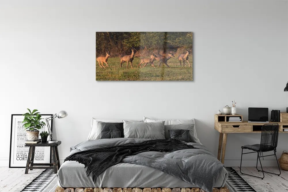 Obraz na akrylátovom skle Deer golf svitania 125x50 cm