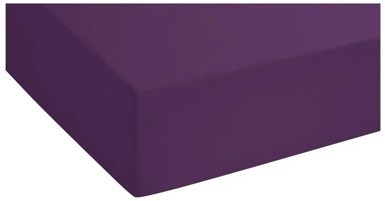 Biberna Napínacia džersejová plachta (fialová, 180 – 200 x 200 cm)  (100227068)